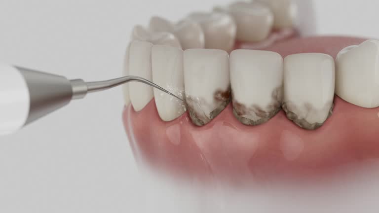Reliable Emergency Dentist contractor in Ashtabula County County, OH by Dentist Open Now